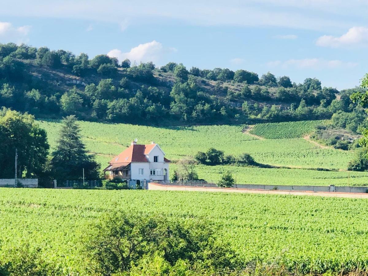 Villa De La Roseraie Rully  Екстериор снимка